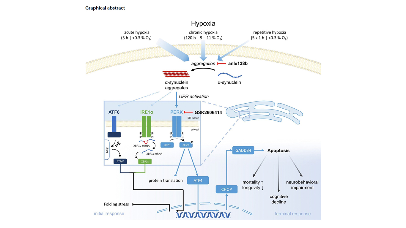 Research Publication